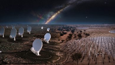 علماء الفلك الراديوي