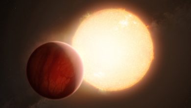 الكواكب النجمية والنجوم